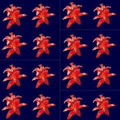000040 Fabric