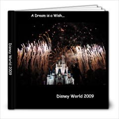 Disney World - 8x8 Photo Book (20 pages)