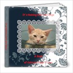It s Raining Cats and Dogs - 8x8 Photo Book (20 pages)