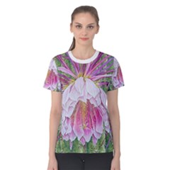 are you cereus? women s t-shirt - Women s Cotton Tee