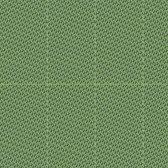 Seattle Seahawk Fabric