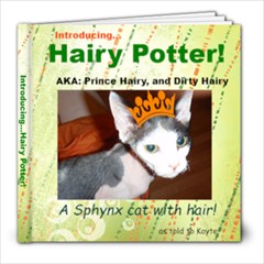 Hairy Potter - 8x8 Photo Book (20 pages)