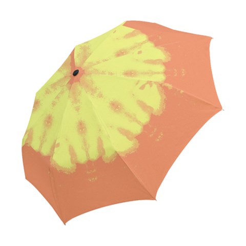 Folding Umbrella 