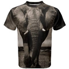 Men s Cotton T-Shirt