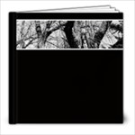 Milbank Cemetery - 8x8 Photo Book (20 pages)