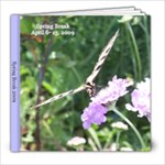 spring break 2009 - 8x8 Photo Book (20 pages)