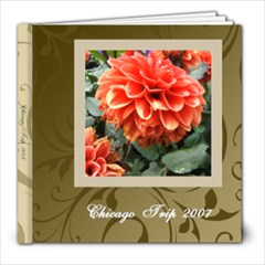 Elegant Brown and Cream Swirls Photo Book - 8x8 Photo Book (20 pages)