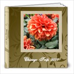 Elegant Brown and Cream Swirls Photo Book - 8x8 Photo Book (20 pages)