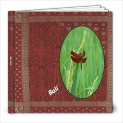 Bali  - 8x8 Photo Book (20 pages)