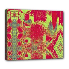Deluxe Canvas 24  x 20  (Stretched) 
