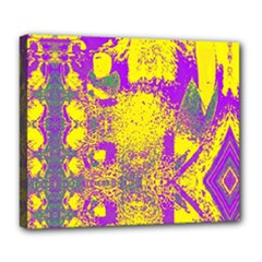 Deluxe Canvas 24  x 20  (Stretched) 