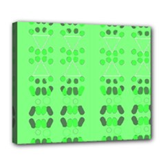 Deluxe Canvas 24  x 20  (Stretched) 