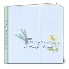 Little Book of Sample Pages - AmyJo - 8x8 Photo Book (100 pages)