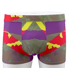 Men s Boxer Briefs