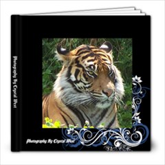 photography - 8x8 Photo Book (20 pages)