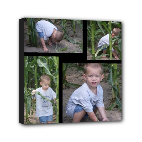 6x6--kids in cornfield - Mini Canvas 6  x 6  (Stretched)