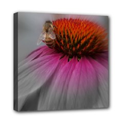 Mini Canvas 8  x 8  (Stretched) 