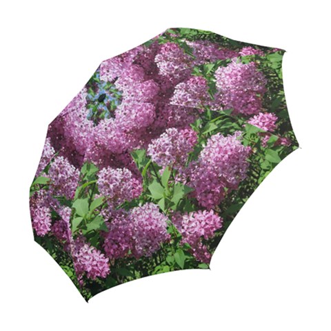 Folding Umbrella 