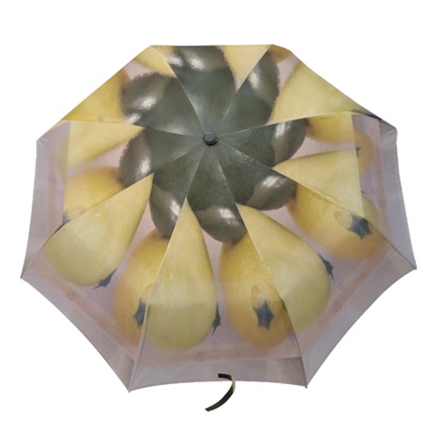 Folding Umbrella 