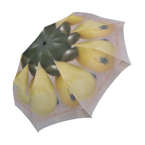 Folding Umbrella 