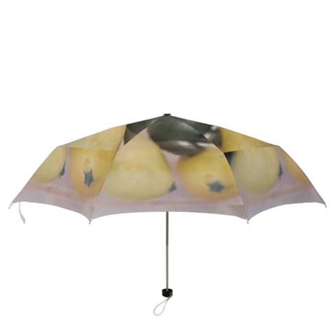 Folding Umbrella 