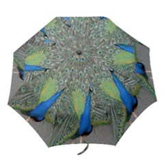 bird - Folding Umbrella