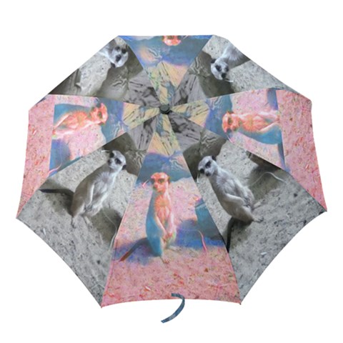 Folding Umbrella 