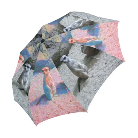 Folding Umbrella 