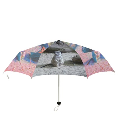 Folding Umbrella 