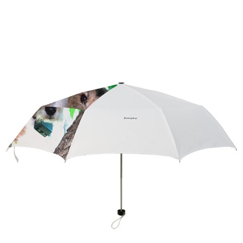 Folding Umbrella 