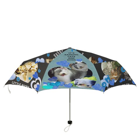 Folding Umbrella 