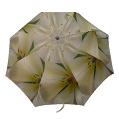 white rain umbrella - Folding Umbrella white rain umbrella - Folding Umbrella