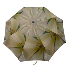 white rain umbrella - Folding Umbrella