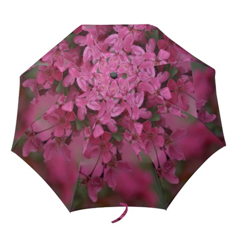 Folding Umbrella 