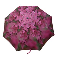 pink apple blossom umbrella - Folding Umbrella