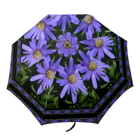 Folding Umbrella 