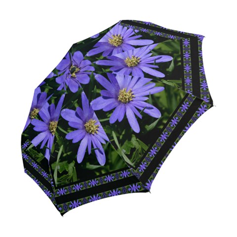 Folding Umbrella 