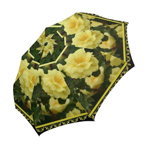 Folding Umbrella 