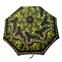 Butterfly Art1  Umbrella