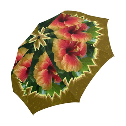 Folding Umbrella 