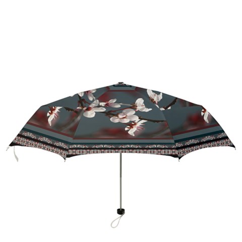 Folding Umbrella 