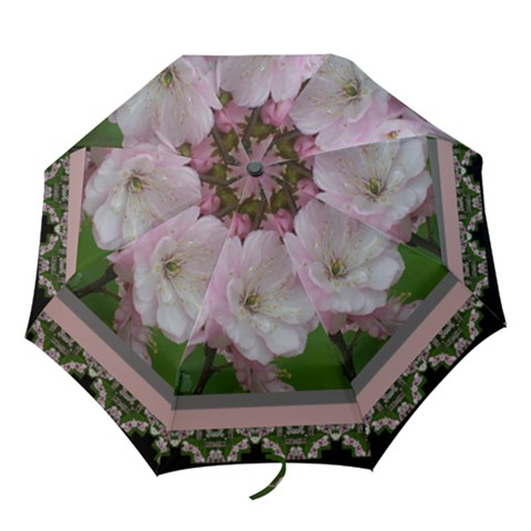 Folding Umbrella 