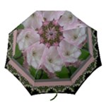 wild rose2  umbrella - Folding Umbrella