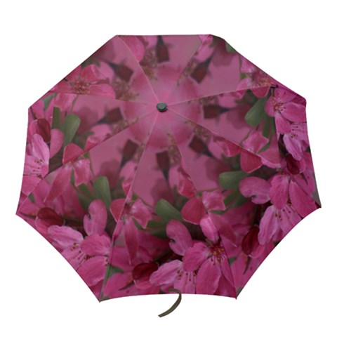 Folding Umbrella 