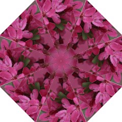 pink apple blossom5 umbrella - Folding Umbrella