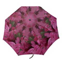 pink apple blossom5 umbrella - Folding Umbrella