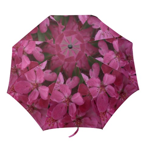 Folding Umbrella 