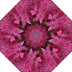 pink apple blossom12 umbrella - Folding Umbrella