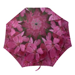 pink apple blossom12 umbrella - Folding Umbrella