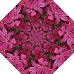 pink apple blossom16 umbrella - Folding Umbrella